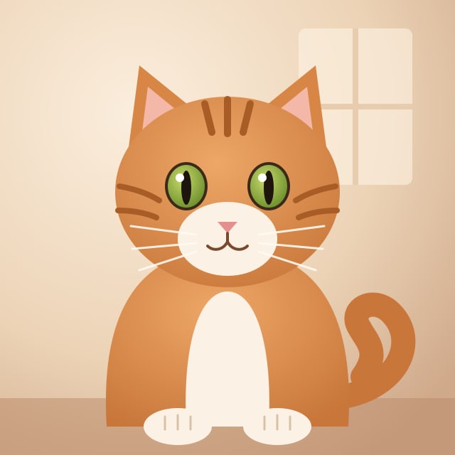 Illustrazione dimostrativa: non è il tuo gatto.
